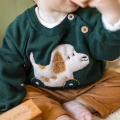 Chandail Vert En Tricot Avec Motif Jacquard, Naissance -Souris Mini Boutique 4 histoire