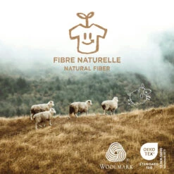 Chandail Turquoise En Laine Mérinos Avec Motifs Jacquard, Enfant 19 Chandail Turquoise En Laine Mérinos Avec Motifs Jacquard, Enfant -Souris Mini Boutique 655993811 points techniques laine merino 1 jpg e1628e74 fc7d 4b54 bc40 30a81c25b868