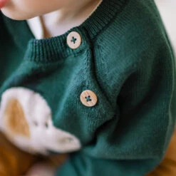 Chandail Vert En Tricot Avec Motif Jacquard, Naissance -Souris Mini Boutique 6 histoire