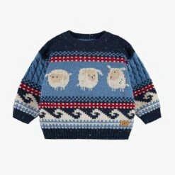 Chandail Bleu En Tricot, Bébé