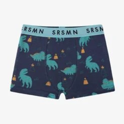 Boxer Bleu Marine à Motifs De Dinosaures, Enfant