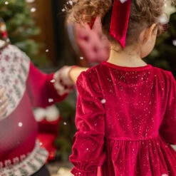 Robe Rouge En Velours Scintillant, Bébé -Souris Mini Boutique Zoom dos robe velours rouge fille noel tenue festive souris mini jpg